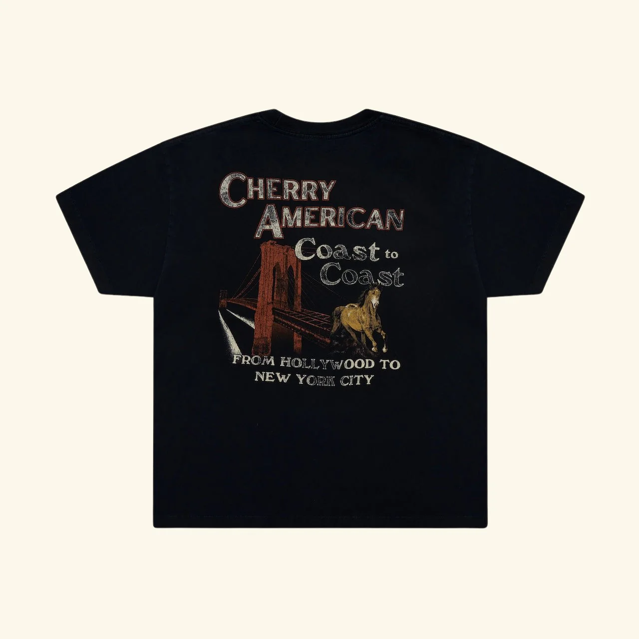 Coast to Coast Boxy T-Shirt (Vintage Black) - Image 2