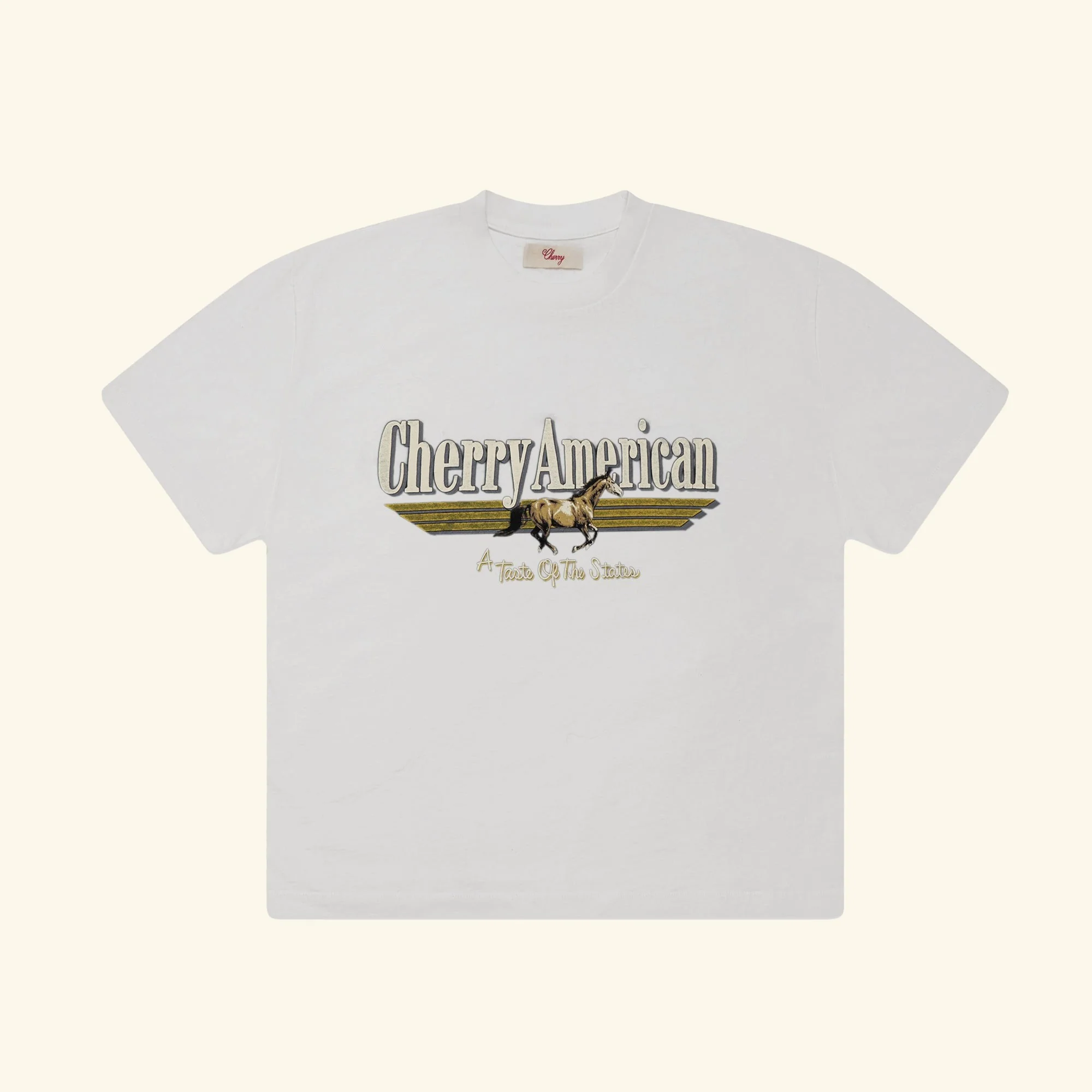 Coast to Coast Boxy T-Shirt (Vintage White)