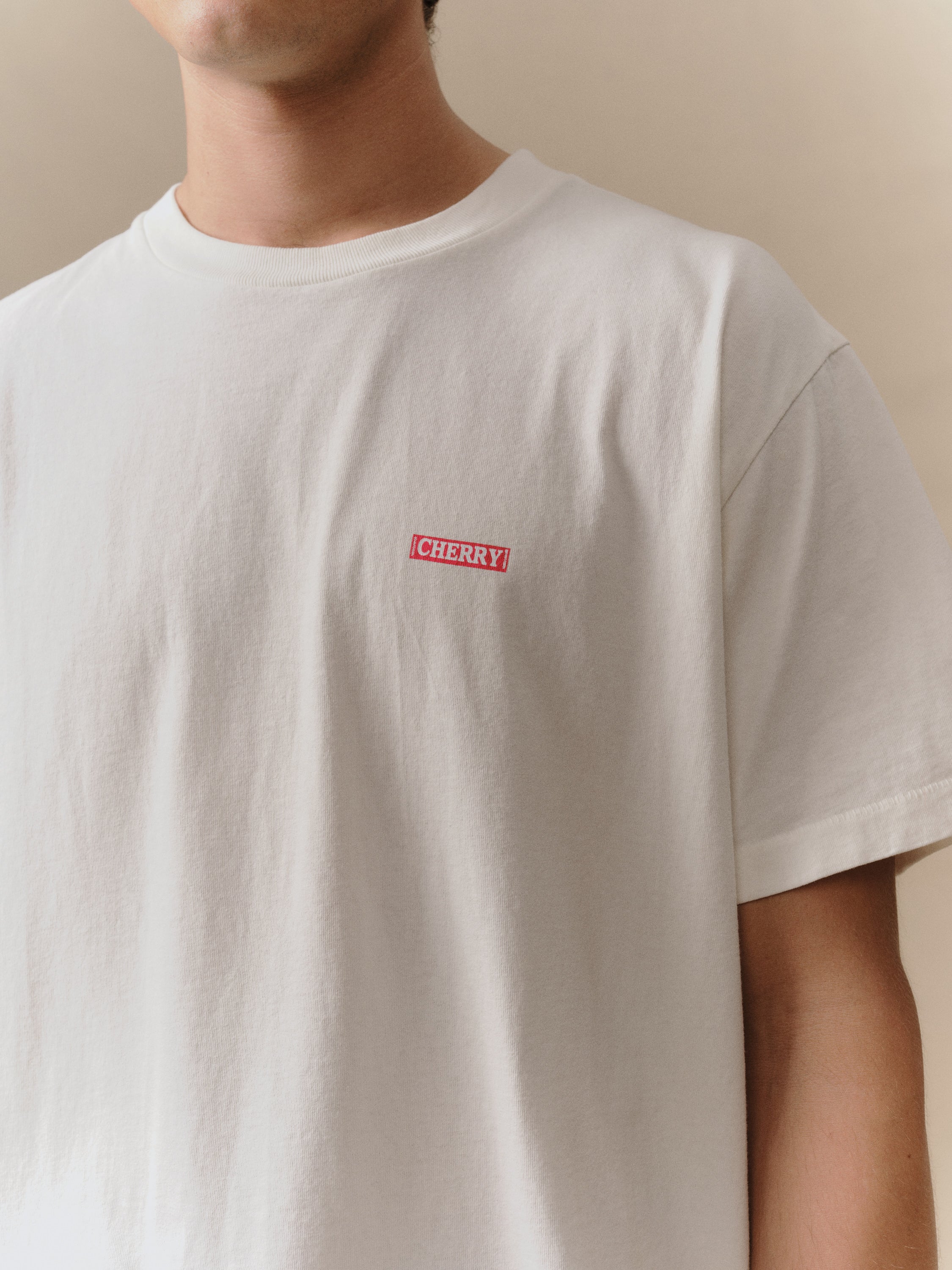 Desert Boxy T-Shirt (Vintage White) - Image 5