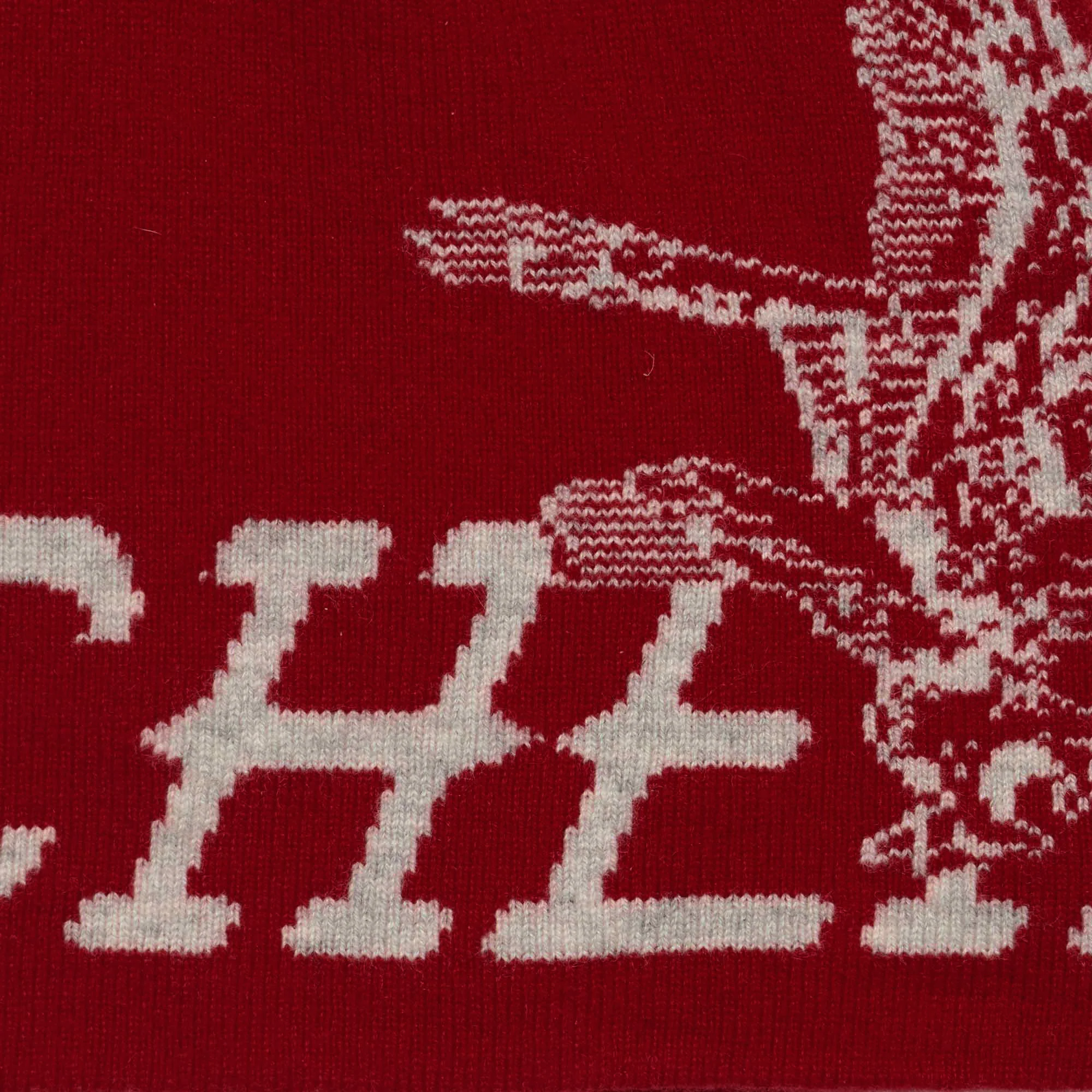 Flying Cherry Skull Cap (Cherry Red) - Image 2