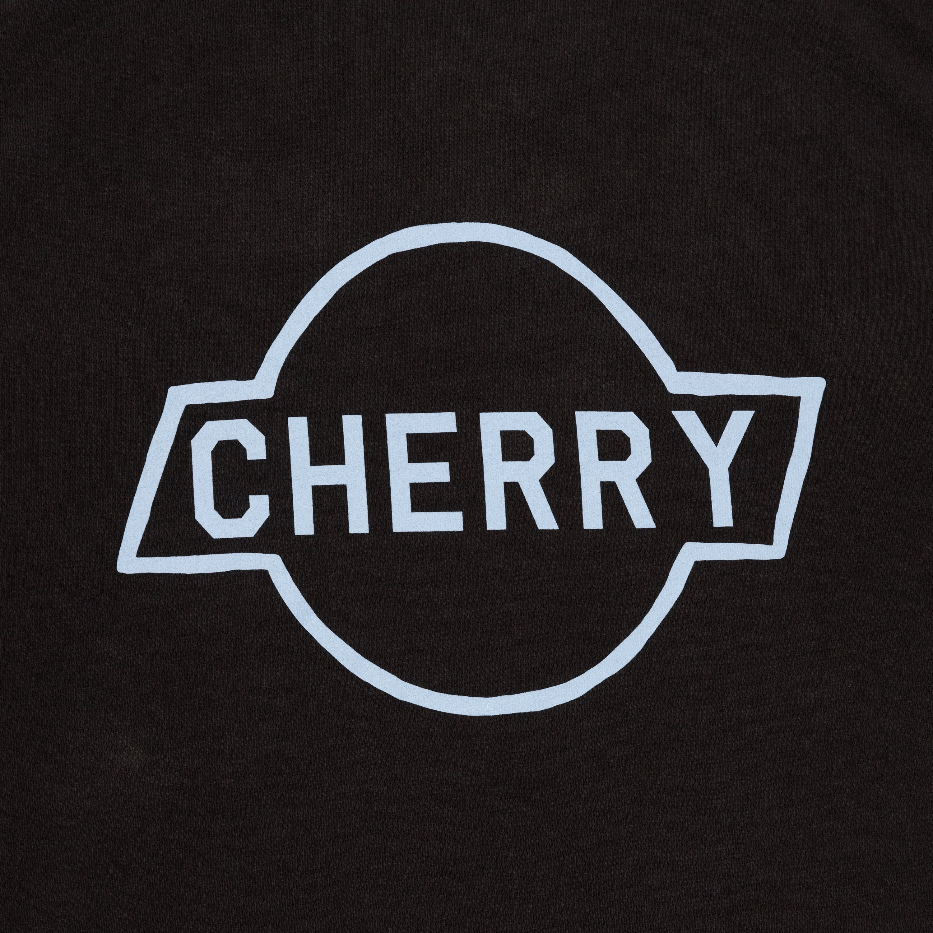 Leaves of Three Tee (Faded Black) - Image 3