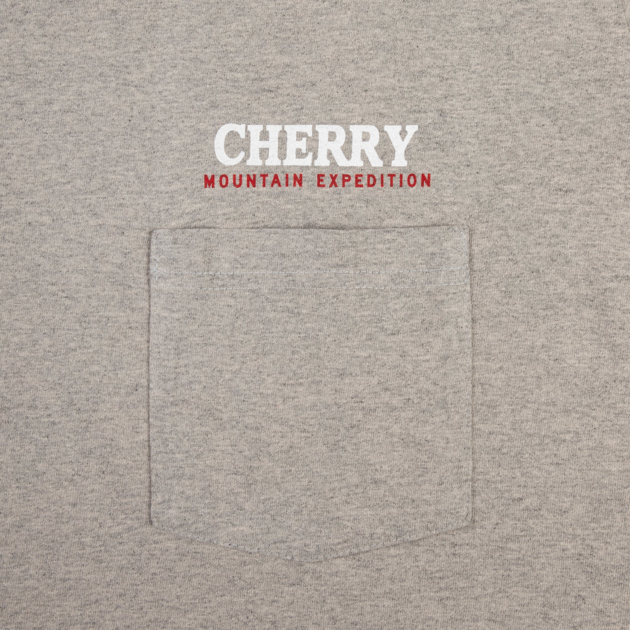 Mountain Expedition Boxy Pocket Tee (Heather Grey) - Image 3