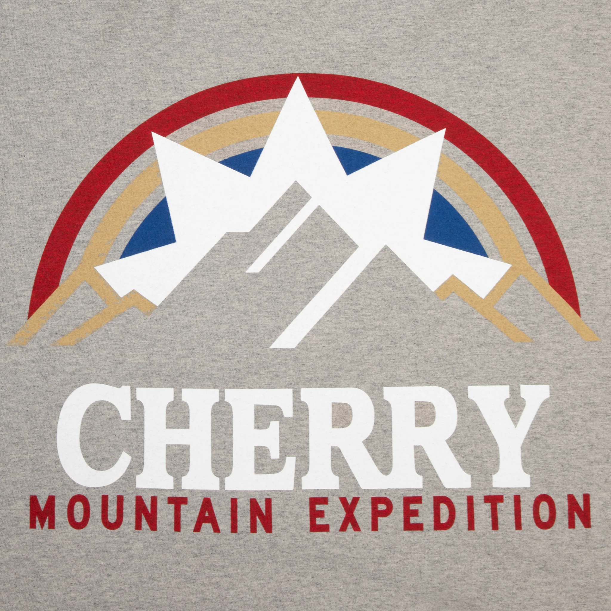 Mountain Expedition Boxy Pocket Tee (Heather Grey) - Image 4