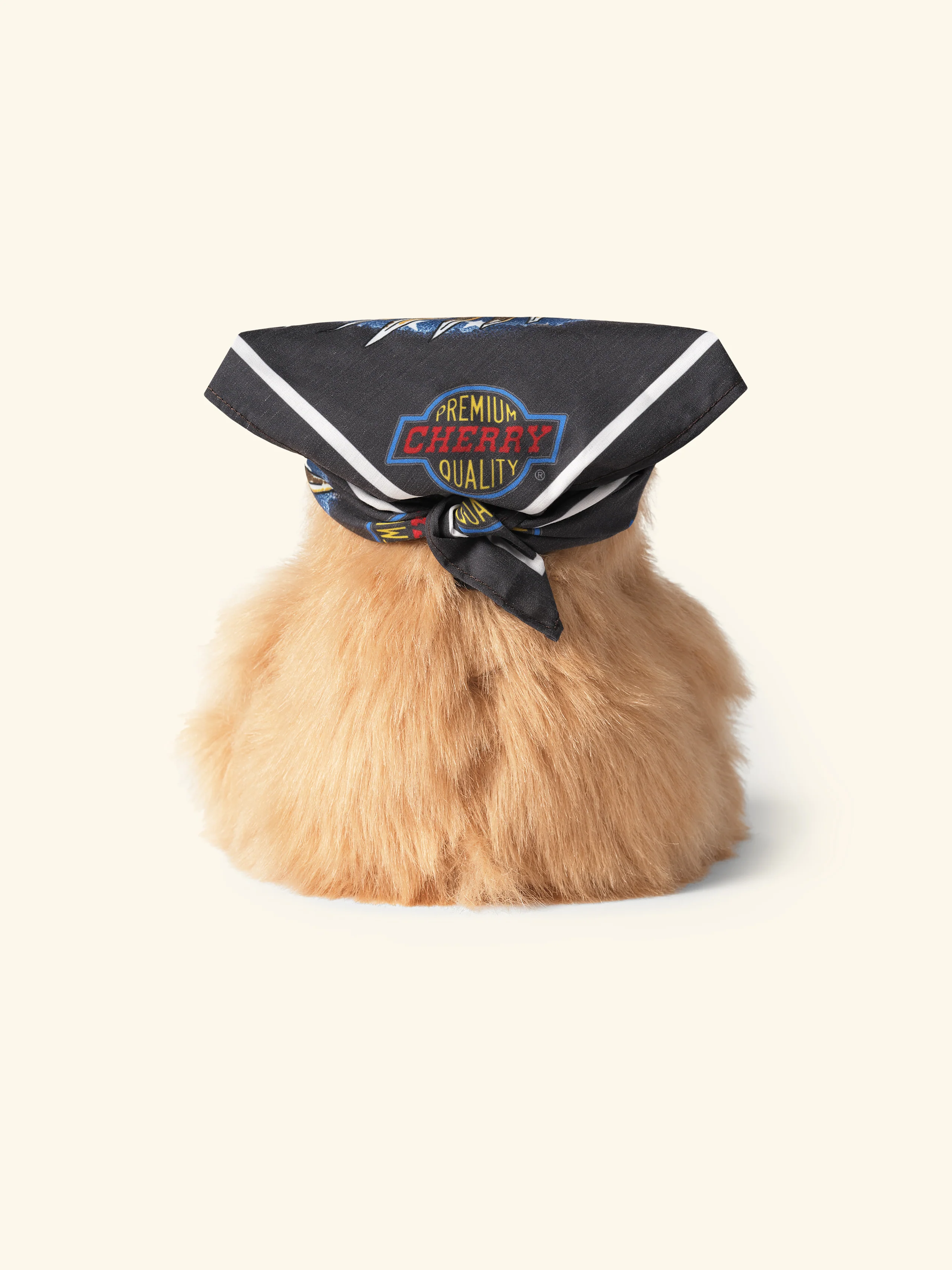 Valentine's Bear - Image 2