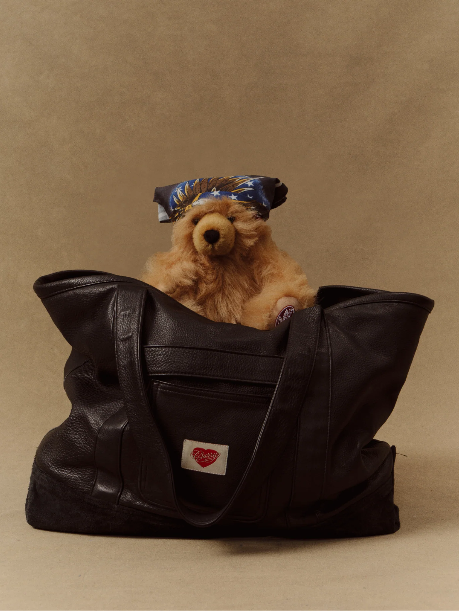 Valentine's Bear - Image 4