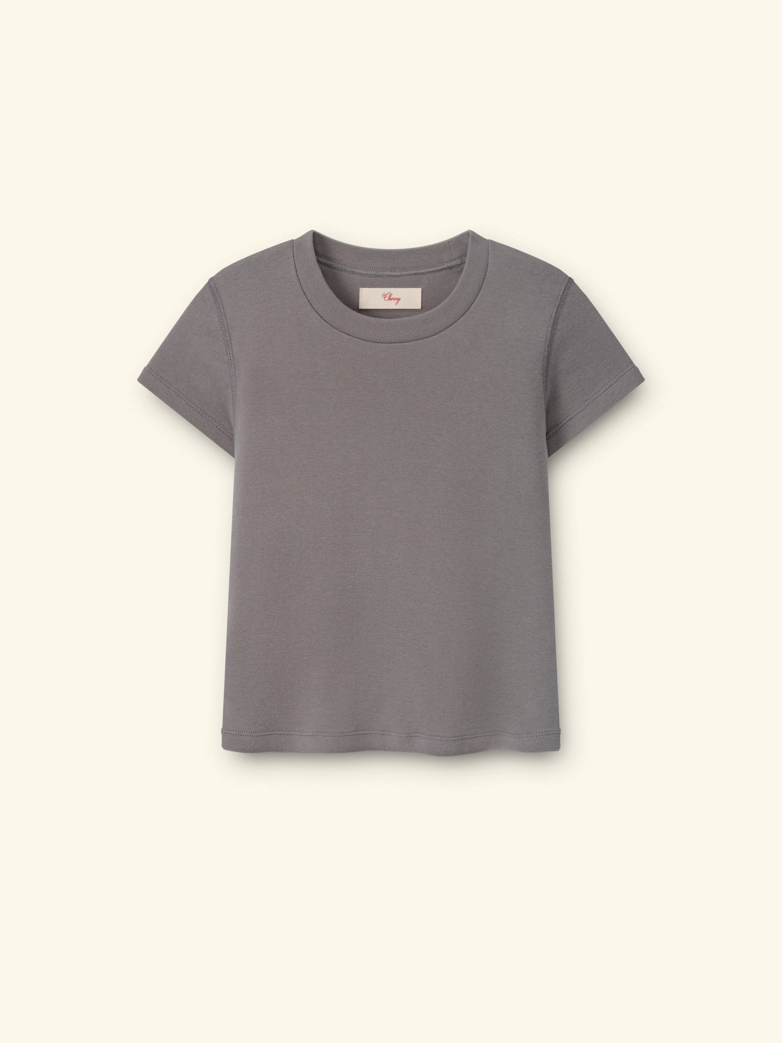 Women's Ribbed Fitted Tee (Smoke)